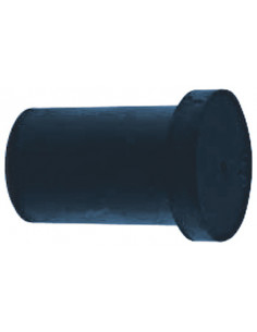 Cable Glands / Cord Grips