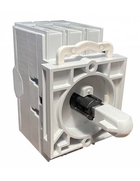 RT 325 L42AD11 - 30 A Dual Rated Door Mounted Motor Disconnect Switch