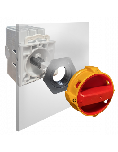 RT 440 L42AD11 - 40 A Dual Rated Door Mounted Motor Disconnect Switch