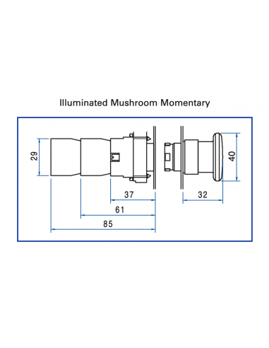 2ALM3LB-024 Mushroom Illuminated Momentary - Illuminated Mushroom Metal Operator