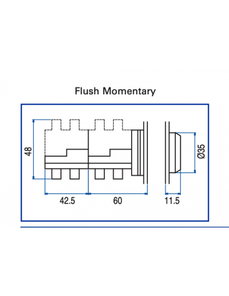 AF2 Flush Non-Illuminated Momentary