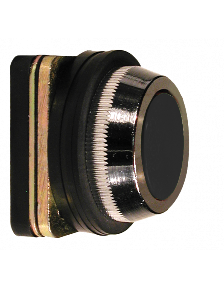 AF2 Flush Non-Illuminated Momentary