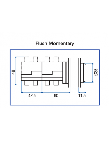 AF4 Flush Non-Illuminated Momentary