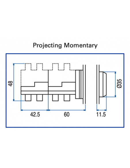 AP1 Flush Non-Illuminated Momentary