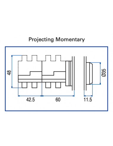 AP4 Flush Non-Illuminated Momentary