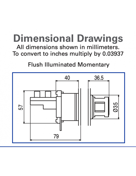 ALF1-048 Flush Illuminated Momentary