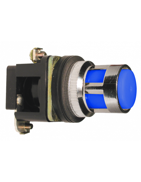 ALF6-048 Flush Illuminated Momentary