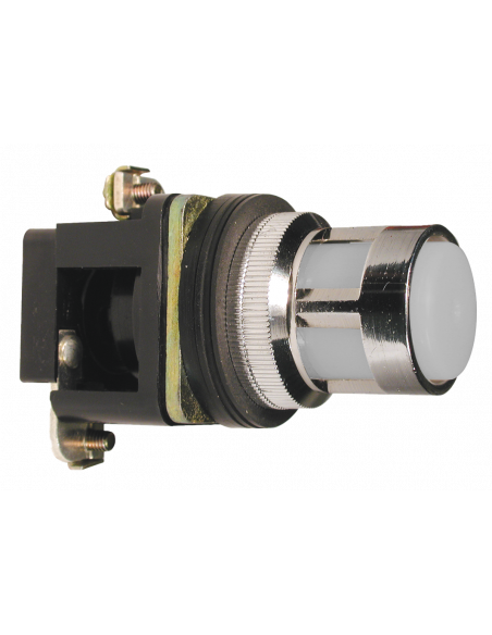 ALF7-048 Flush Illuminated Momentary