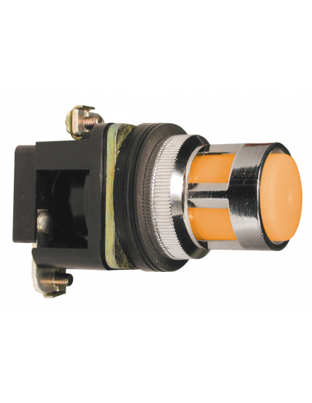 ALF5-110 Flush Illuminated Momentary