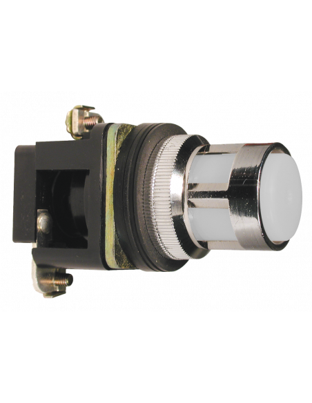 ALF1LB-024 Flush Illuminated Momentary