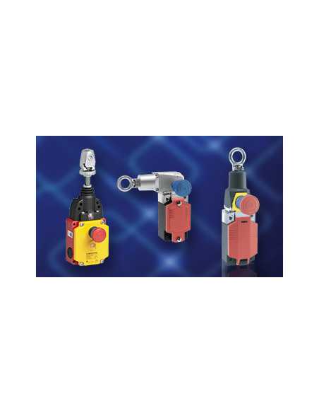 Safety Rope Pull Switches